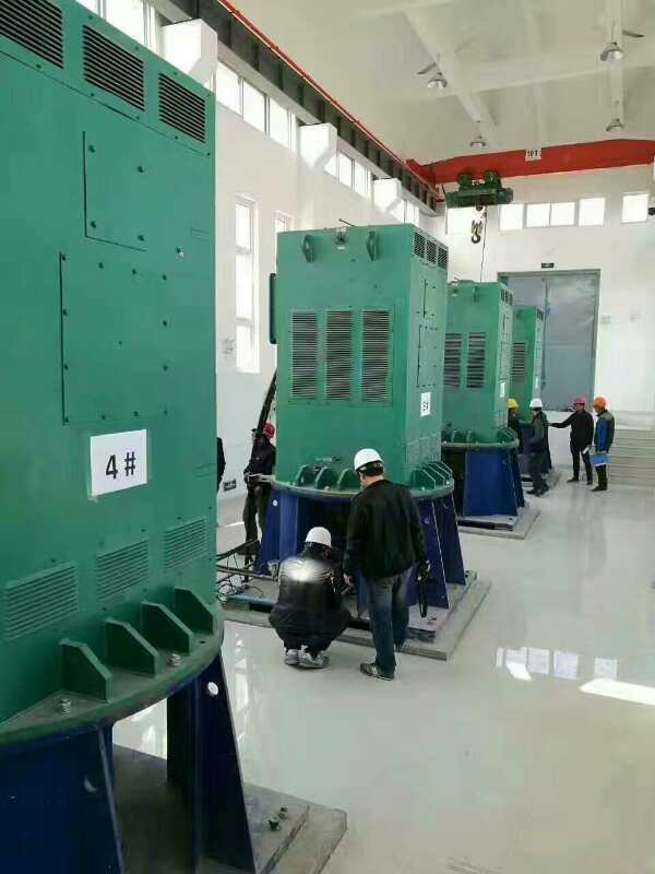 胶州某污水处理厂使用我厂的立式高压电机安装现场